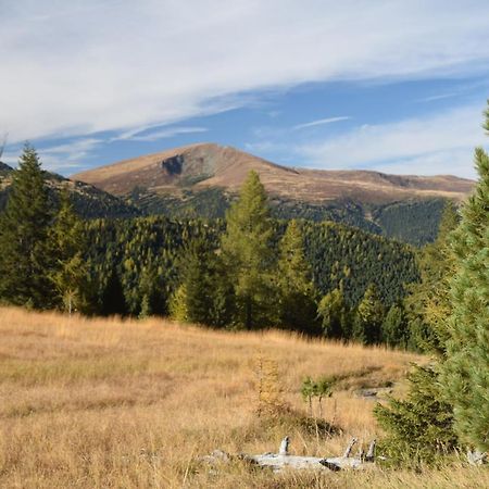 Alpenflair Appartment Mit Aussicht Zum Traeumen Turracher Hohe Eksteriør bilde