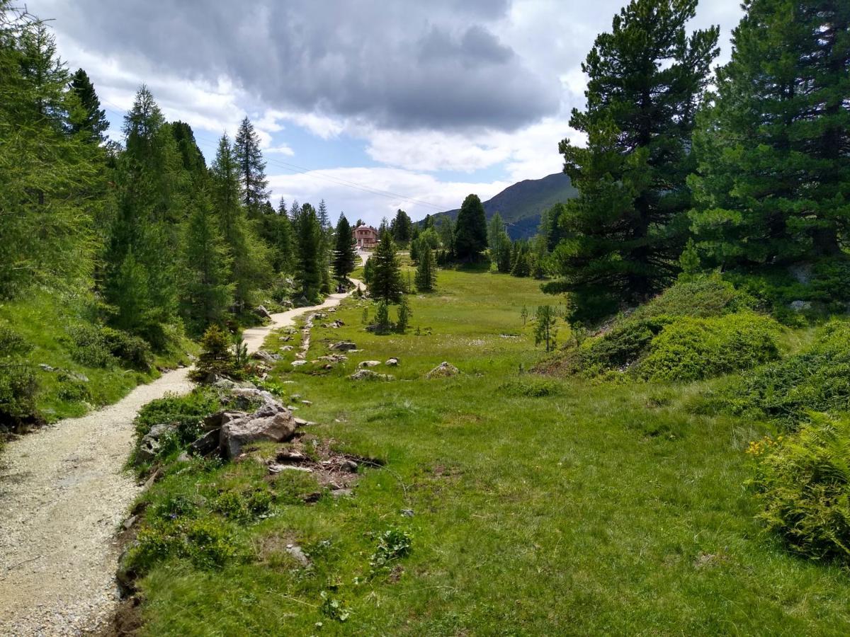 Alpenflair Appartment Mit Aussicht Zum Traeumen Turracher Hohe Eksteriør bilde