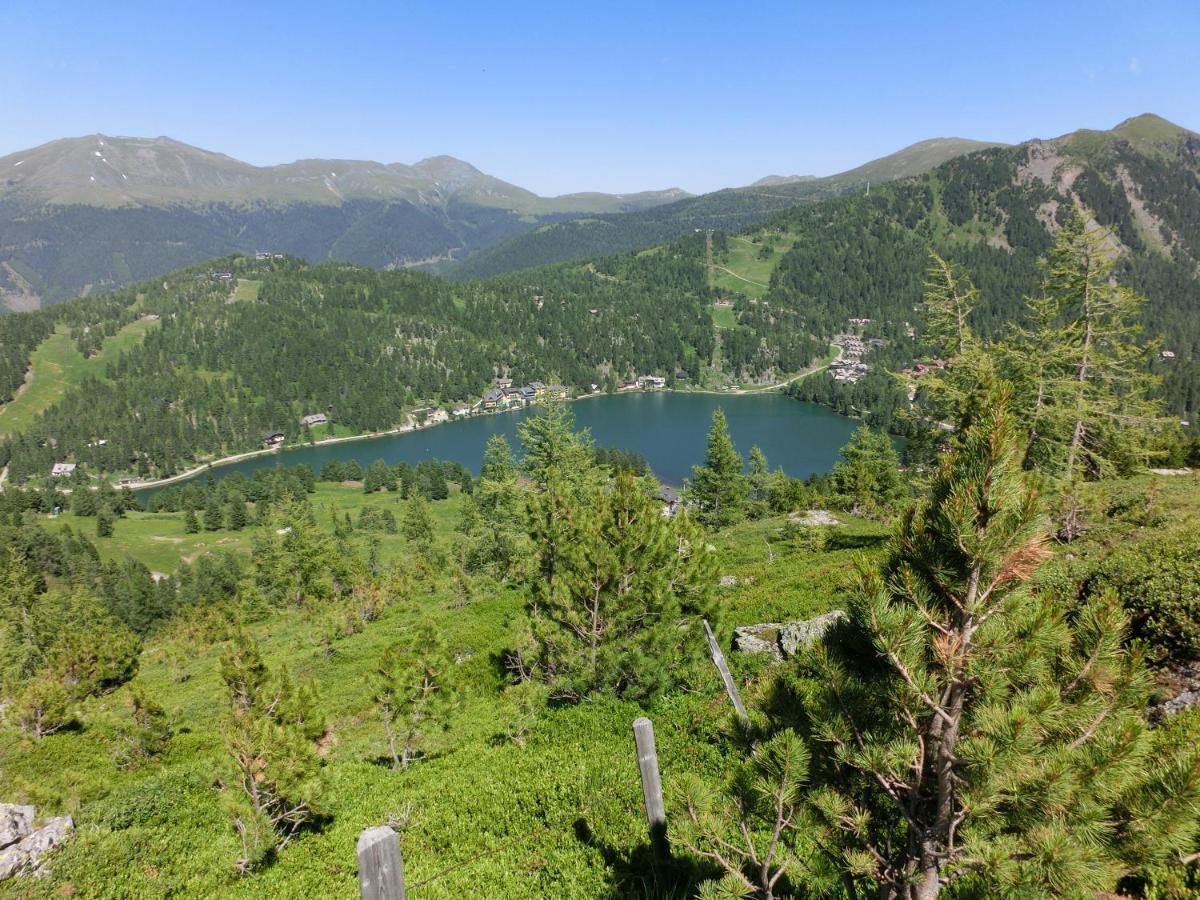 Alpenflair Appartment Mit Aussicht Zum Traeumen Turracher Hohe Eksteriør bilde