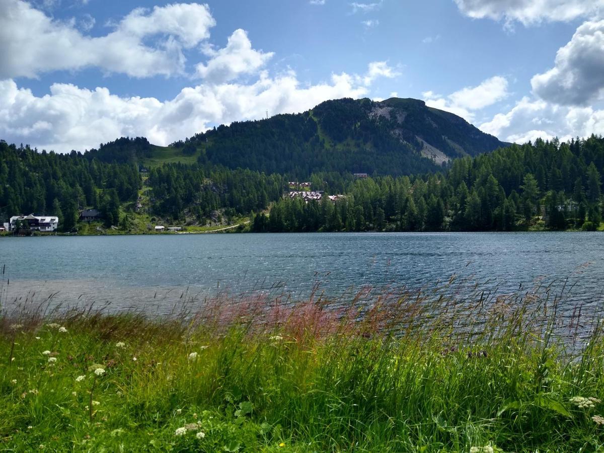 Alpenflair Appartment Mit Aussicht Zum Traeumen Turracher Hohe Eksteriør bilde