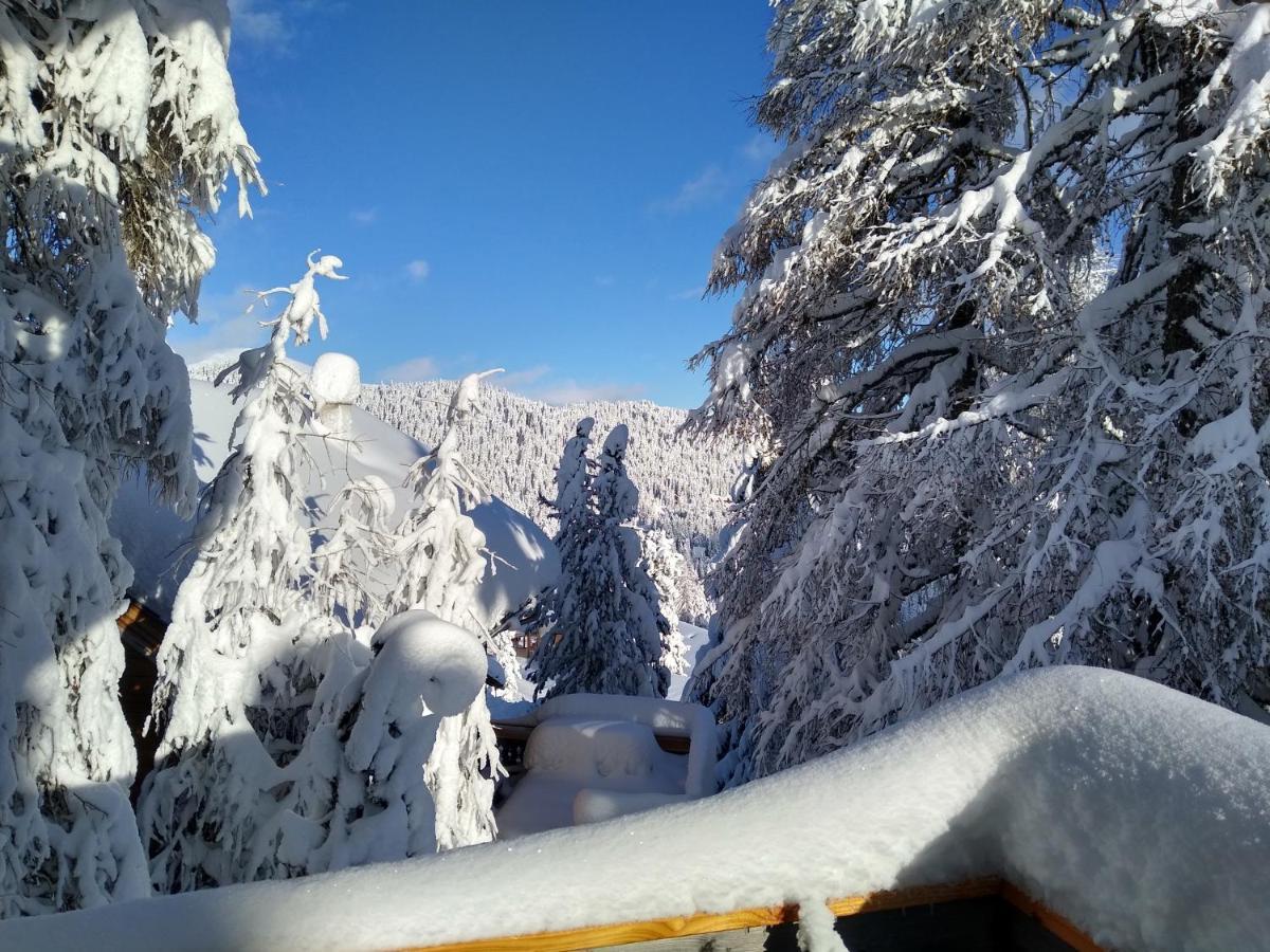 Alpenflair Appartment Mit Aussicht Zum Traeumen Turracher Hohe Eksteriør bilde